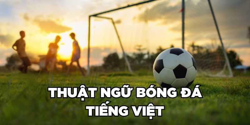 Thuật ngữ bóng đá tiếng Việt